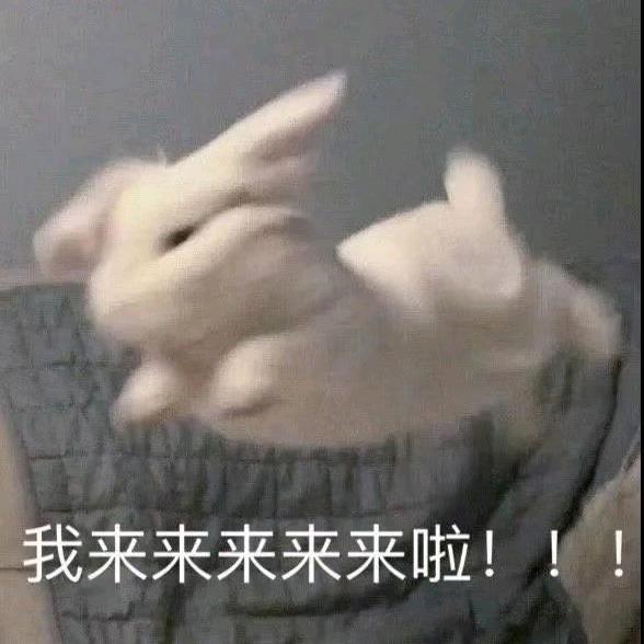童汐