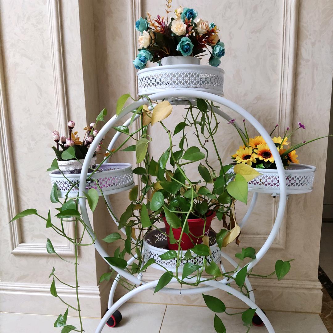 快乐生活，自由自在。