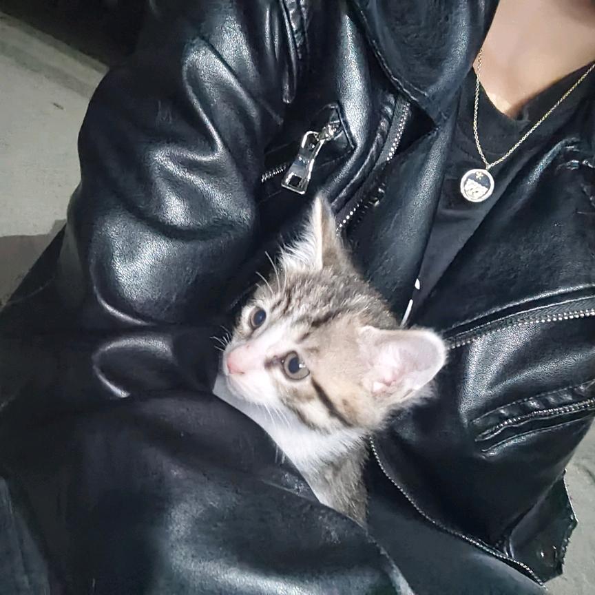 众爱卿平身~ ＼(⇀‸↼)／