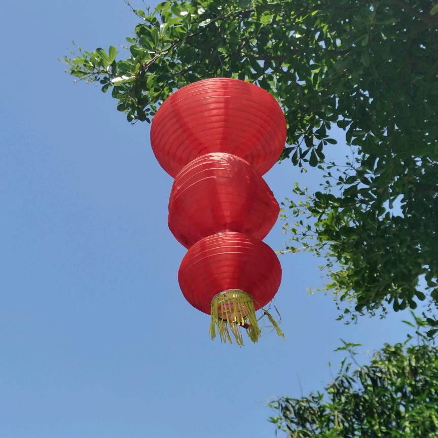 军哥