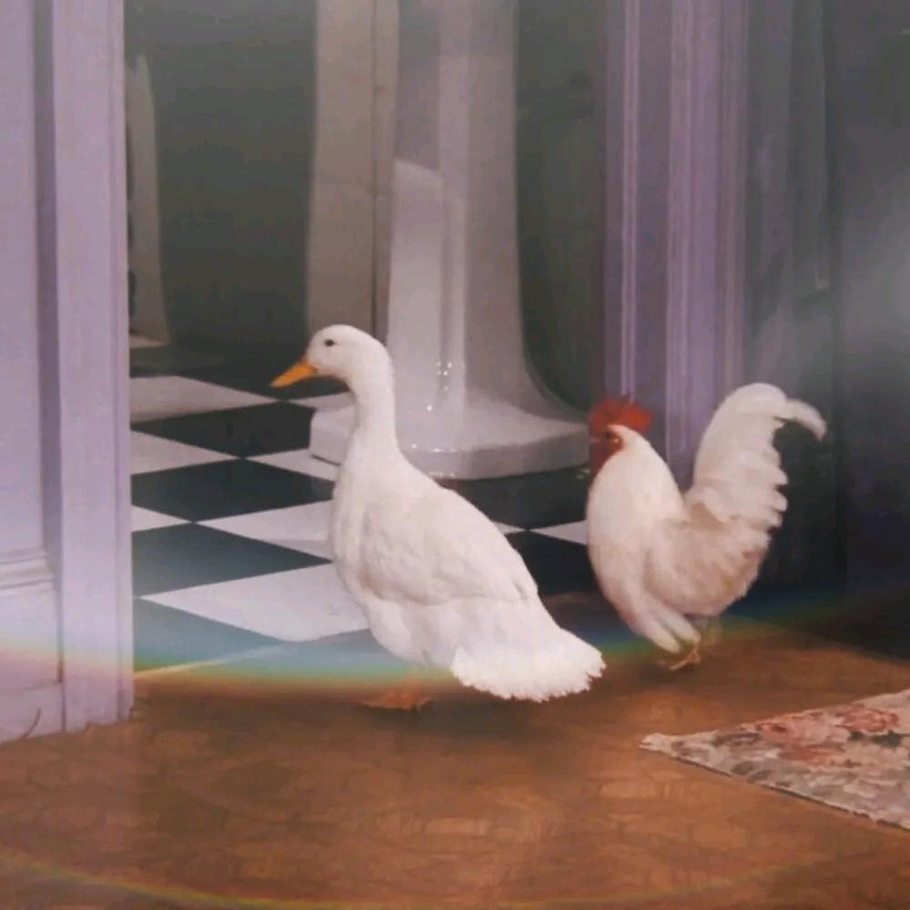 爆头或者被爆头