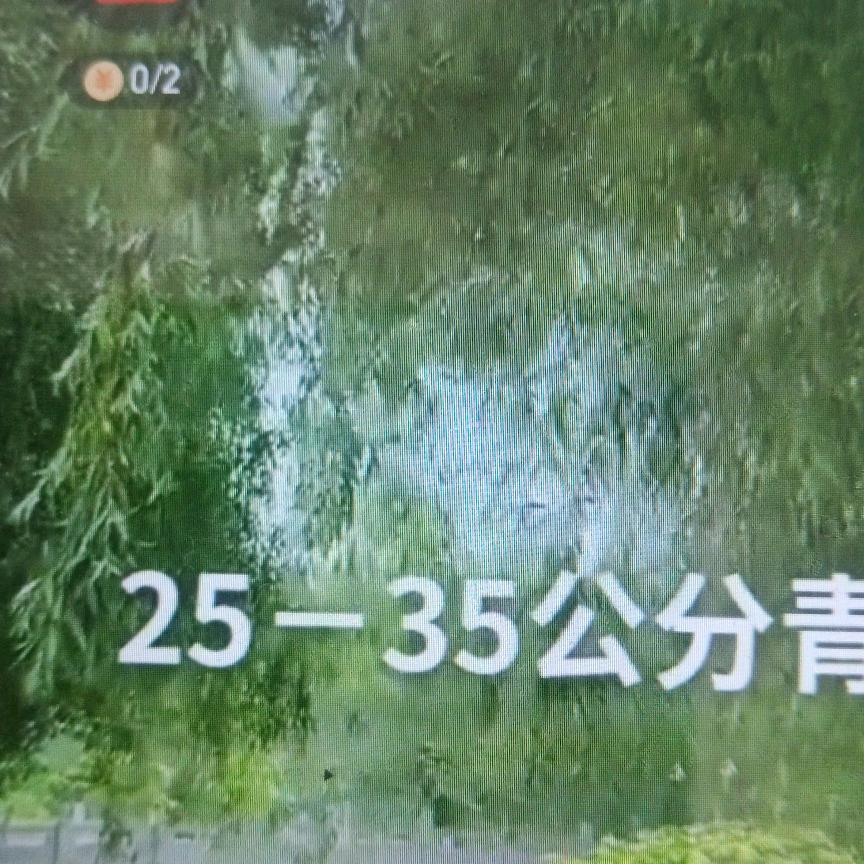 美好