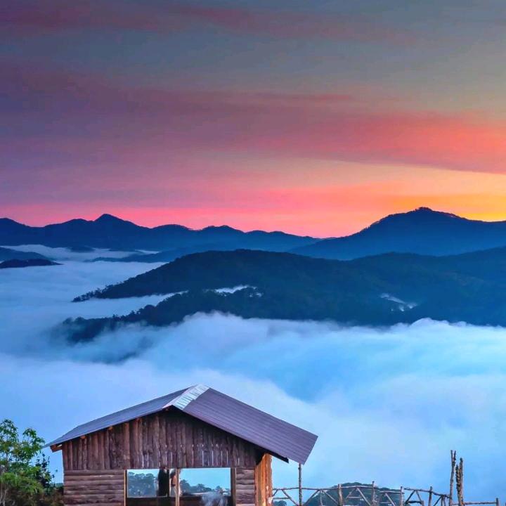 娟，拒绝妙赞连赞拒绝合拍