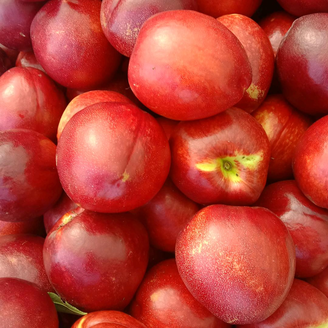 康旭水果专业合作社