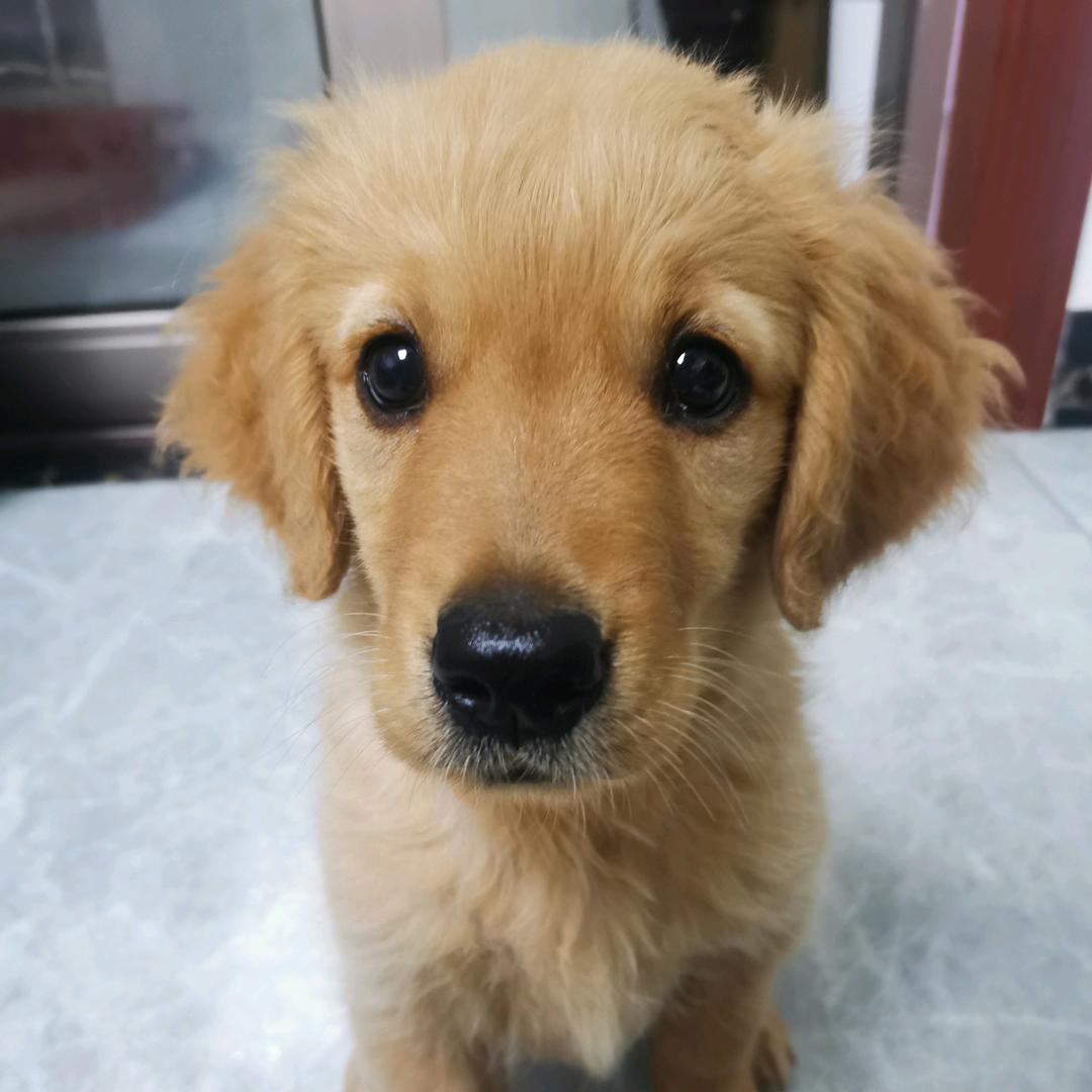 Coco子的经纪人！