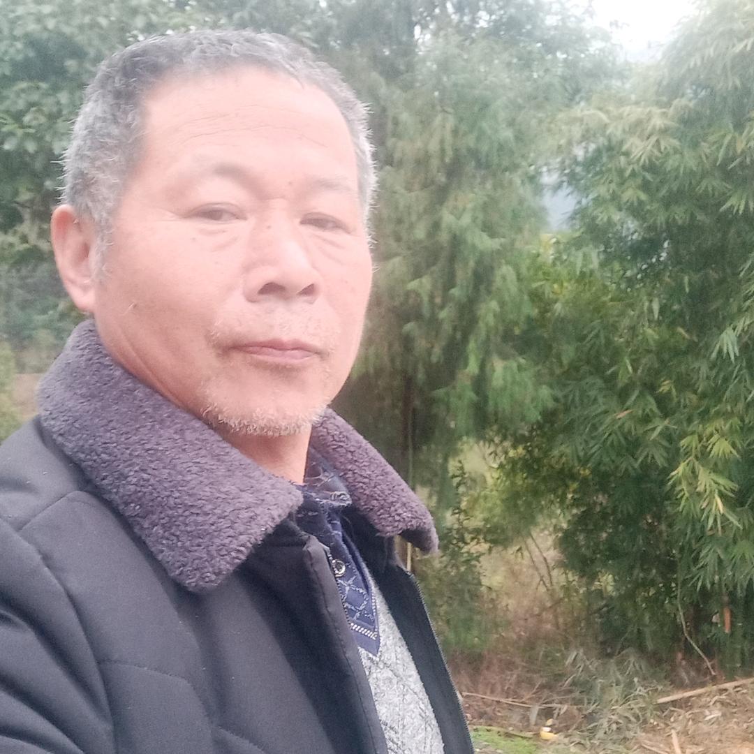 张著彪