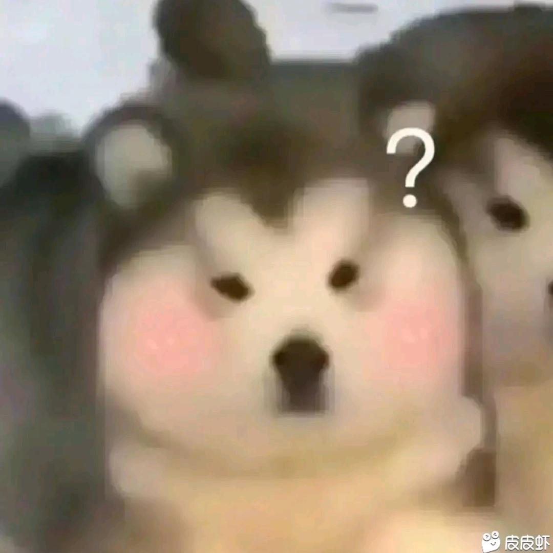 打杂仙人