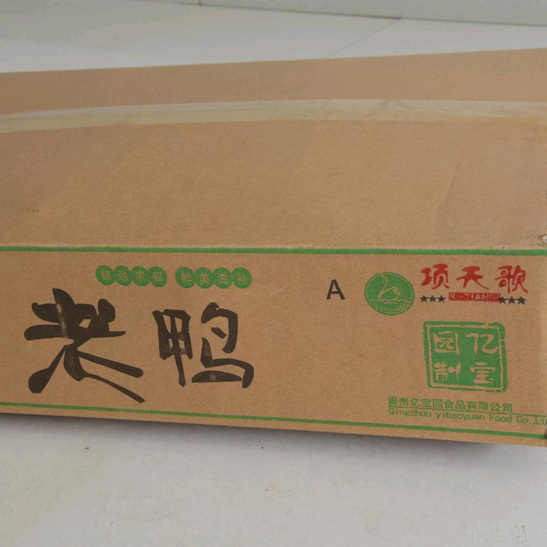 精品老鸭冻品批发