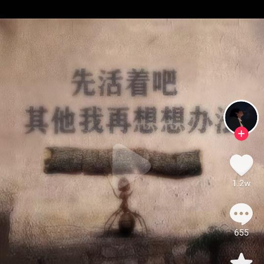 风声鹤唳