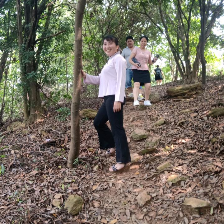 猪猪