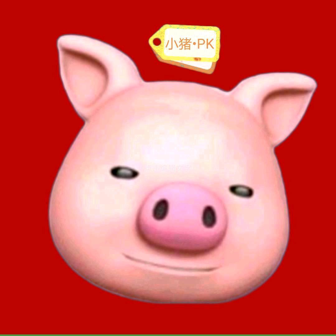 小猪知识
