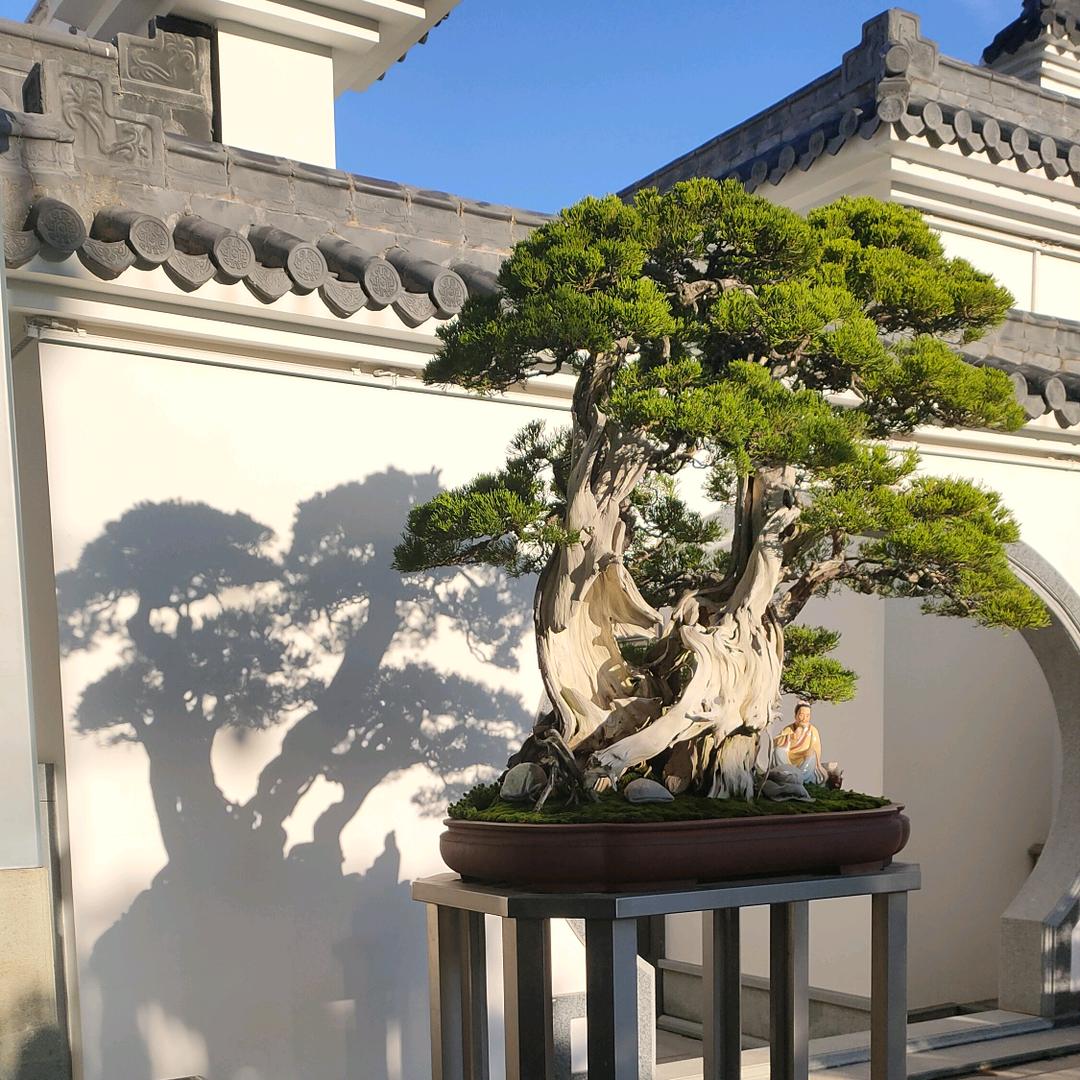 健园    魏小康