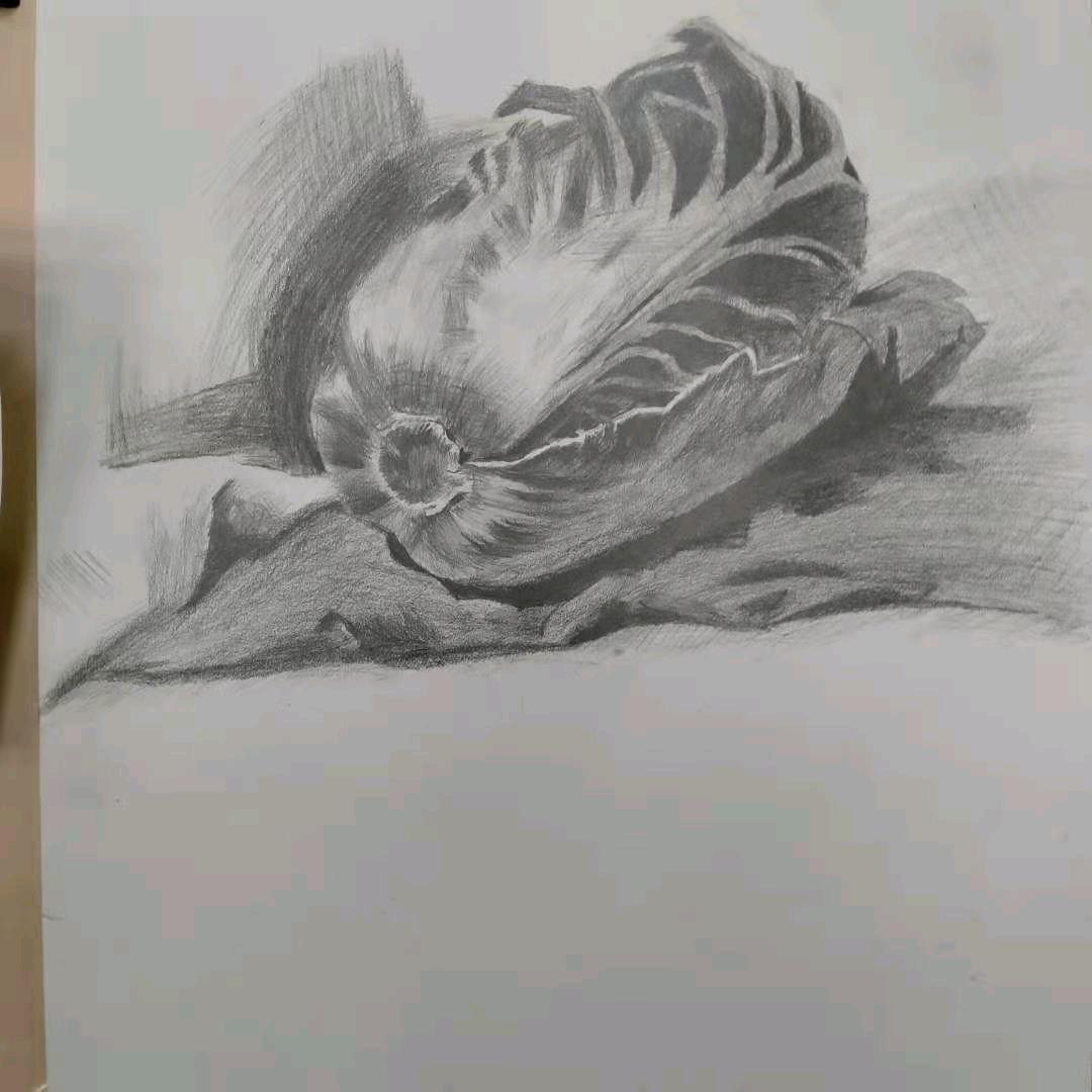 🍃🍃向钱看