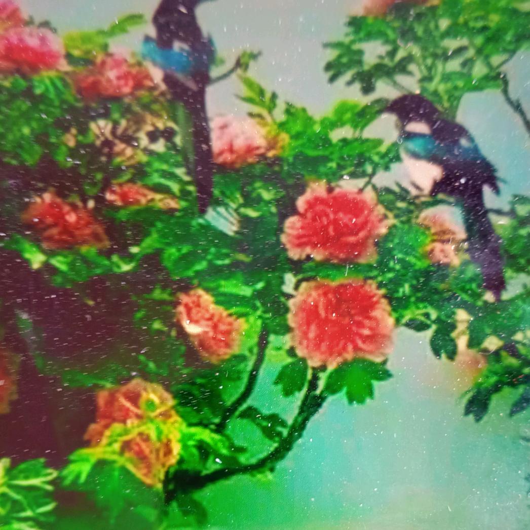 河南戏