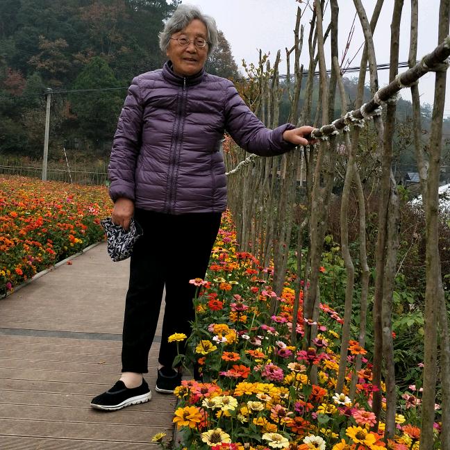 洪老太