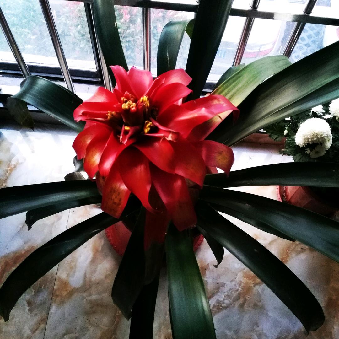 随缘《赞必回》