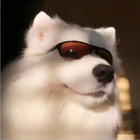 爱猫人士.