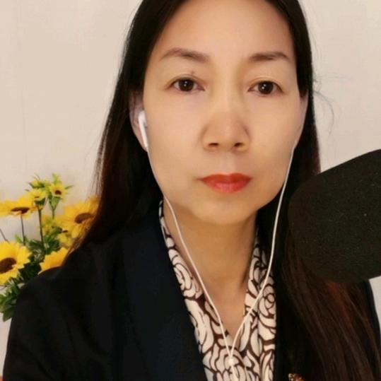琴声漫读