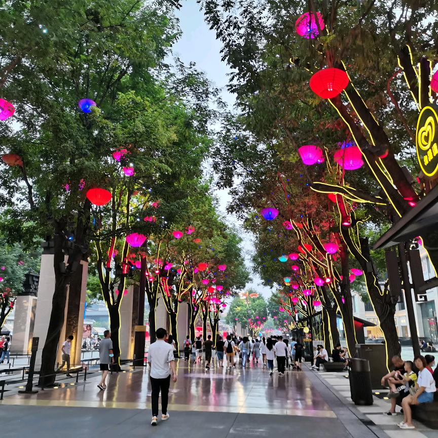 A咫尺的梦想