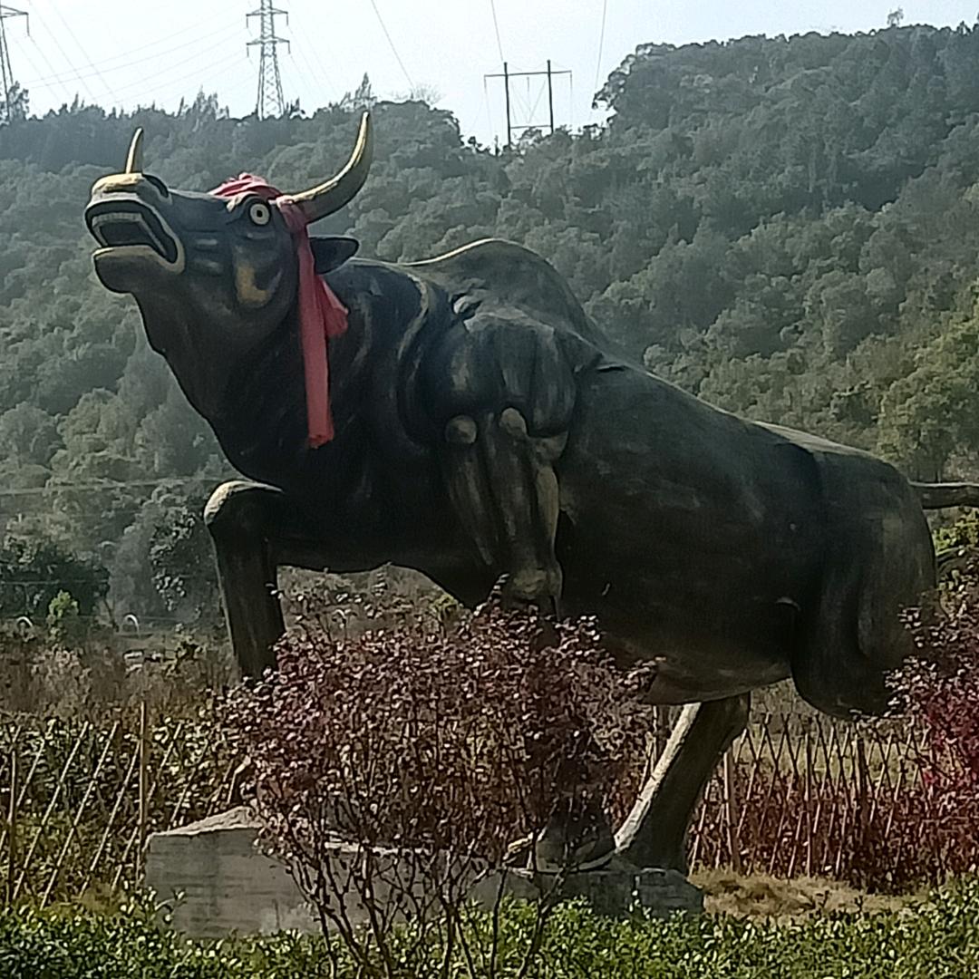 连江装修陈哥