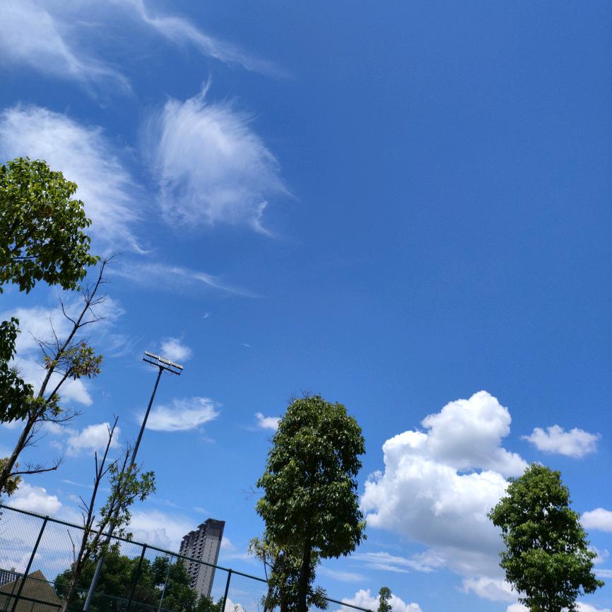 胖球