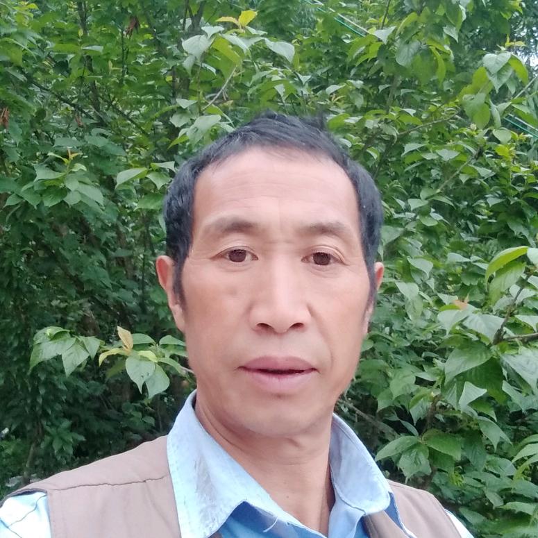 农村冯哥