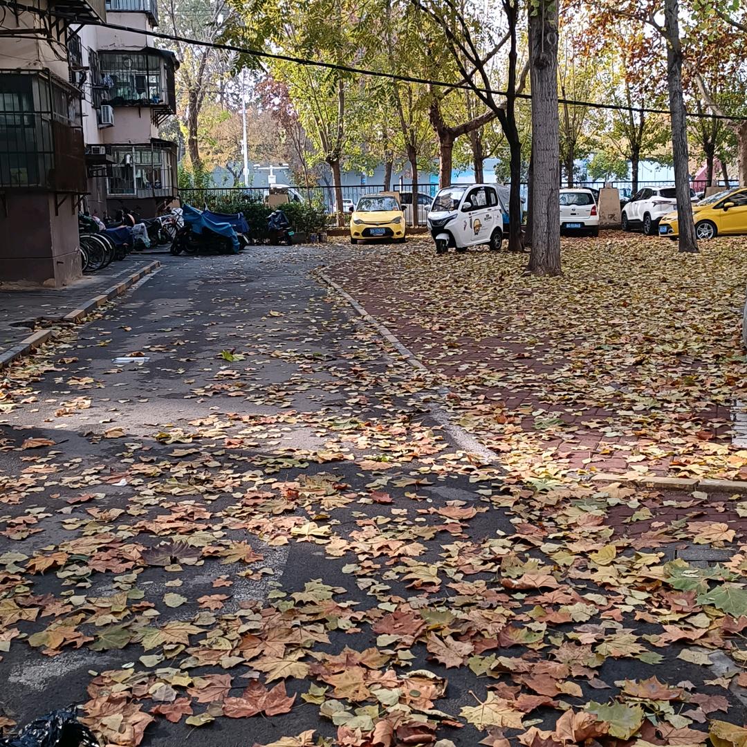 春天里的水滴