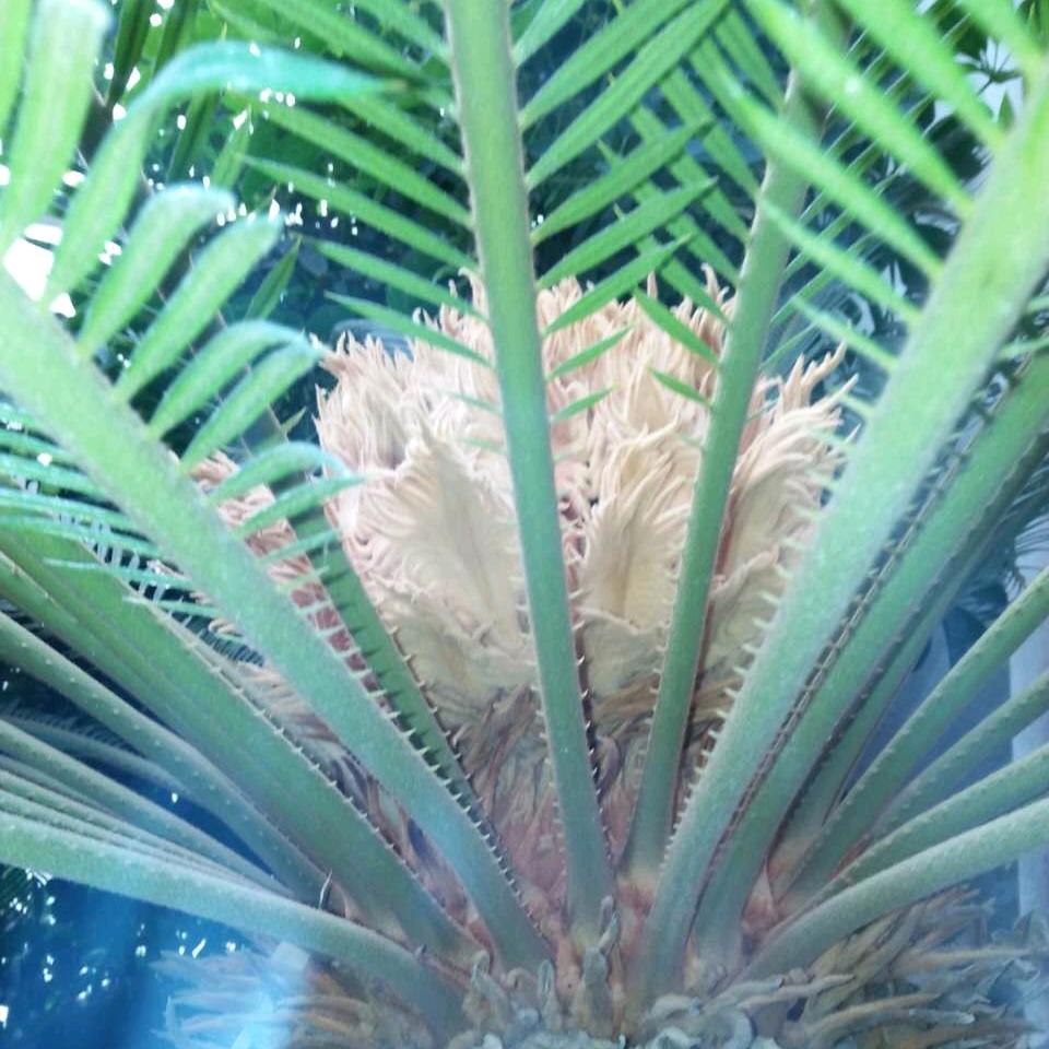 ☞放下过去！往事清零&