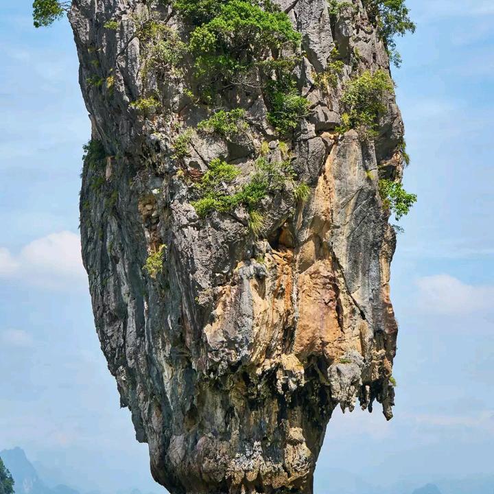 谢谢你们的关注