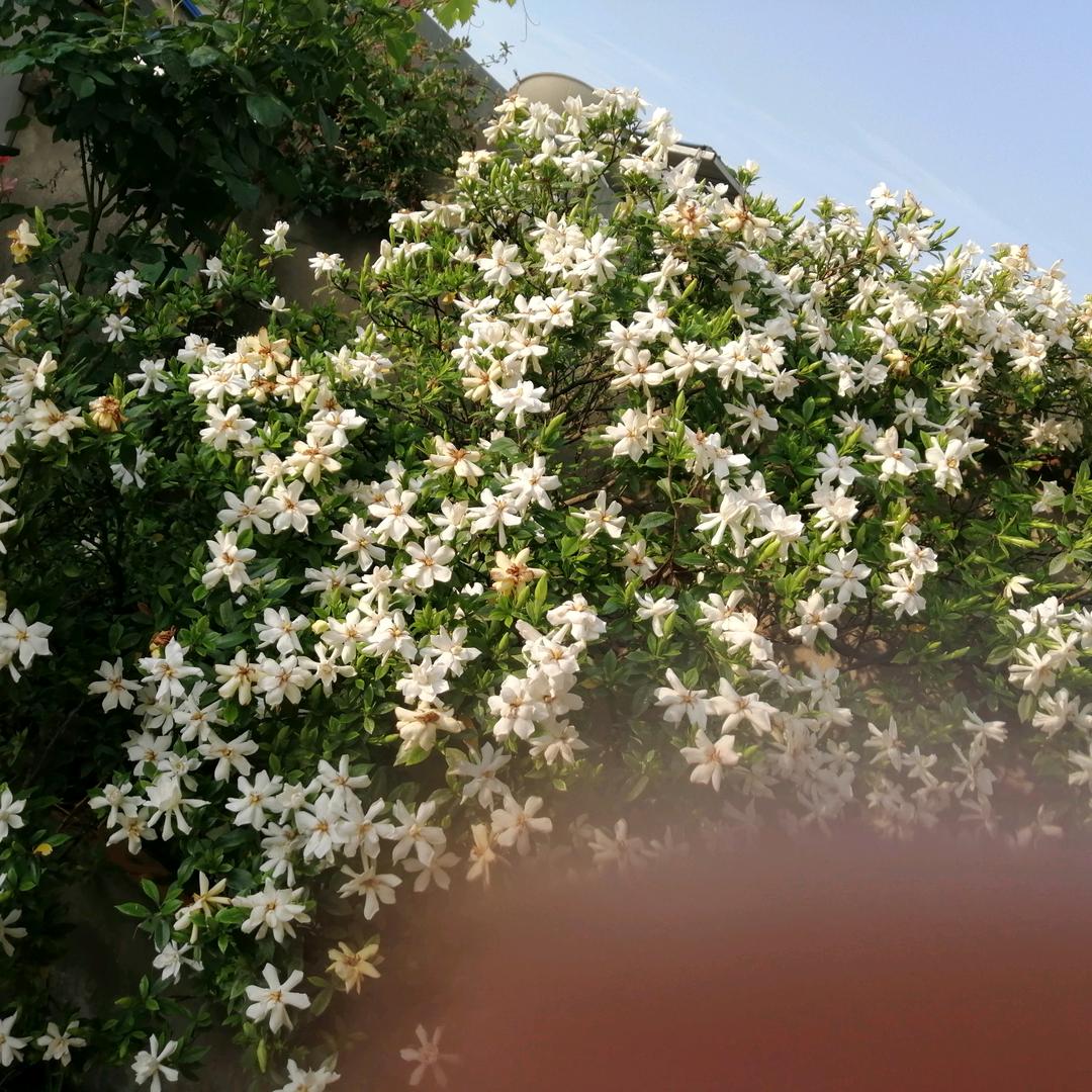 嗩呐第四代传人钱坤