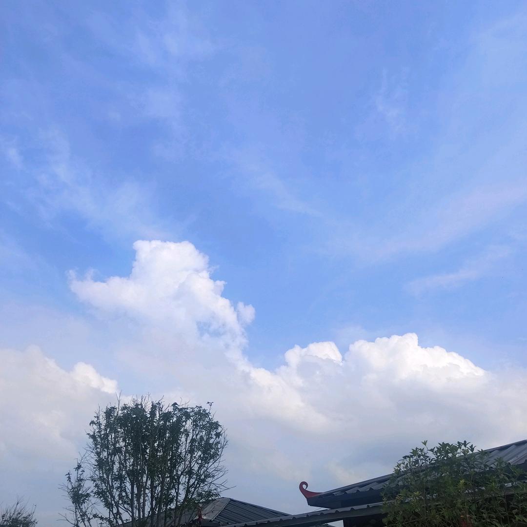 往后余生（金通检测站）