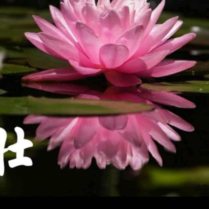 一家平安