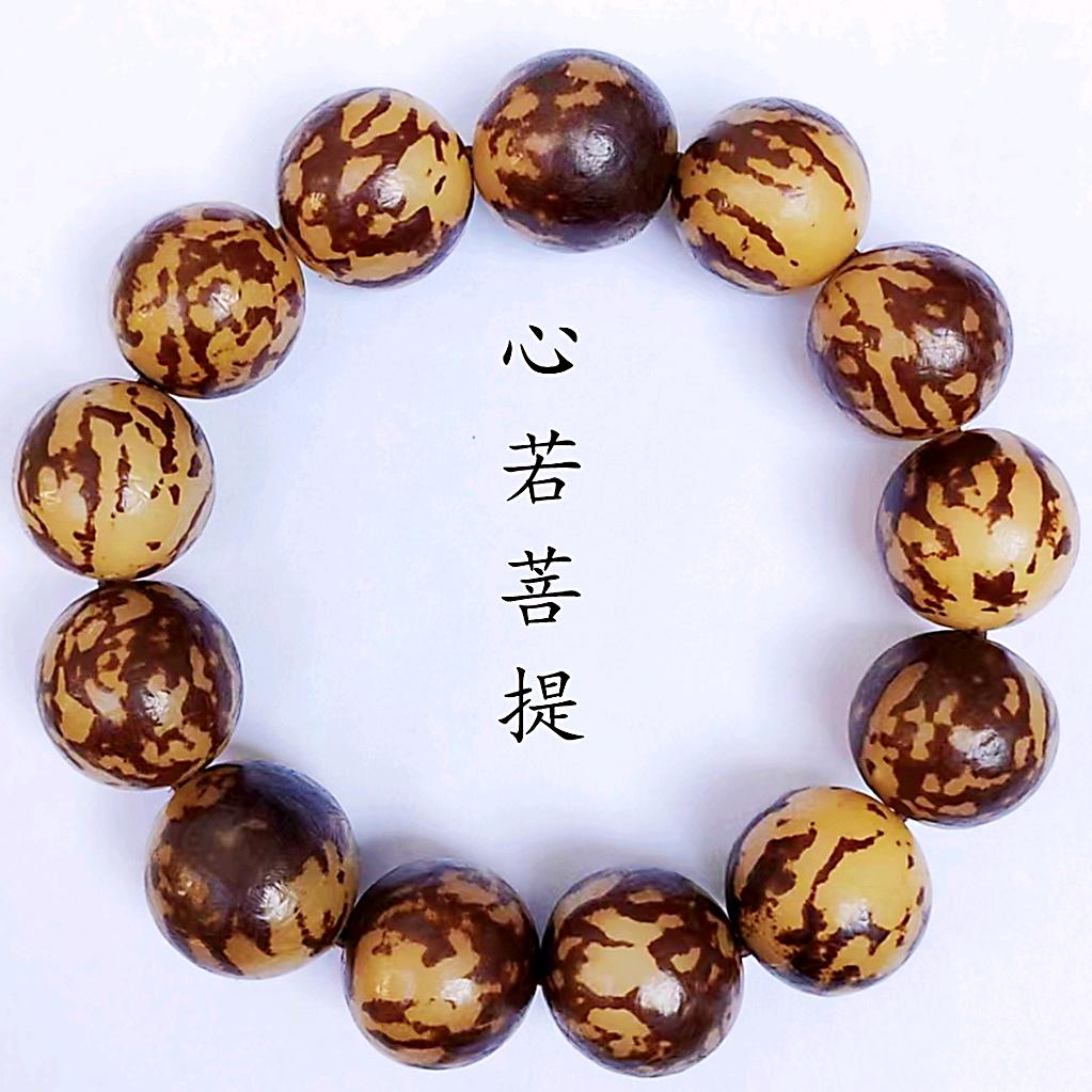 佛性禅心