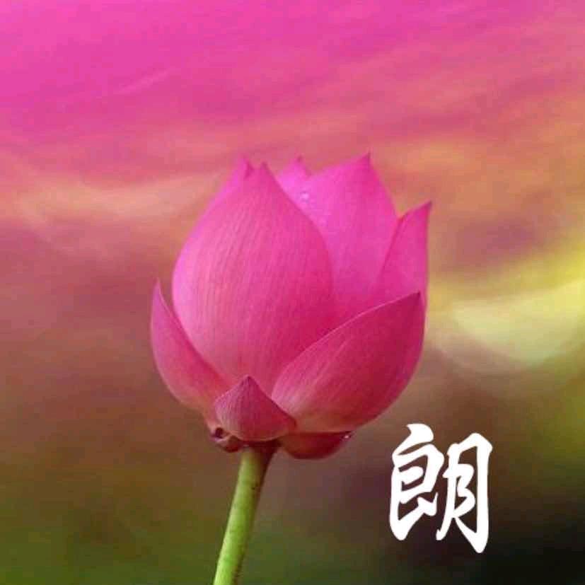 望星空