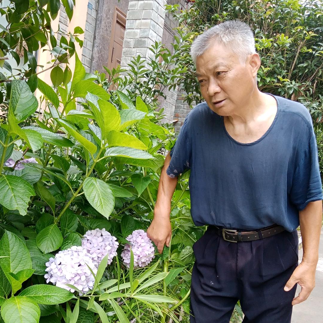 用户2462829316298胡盛先