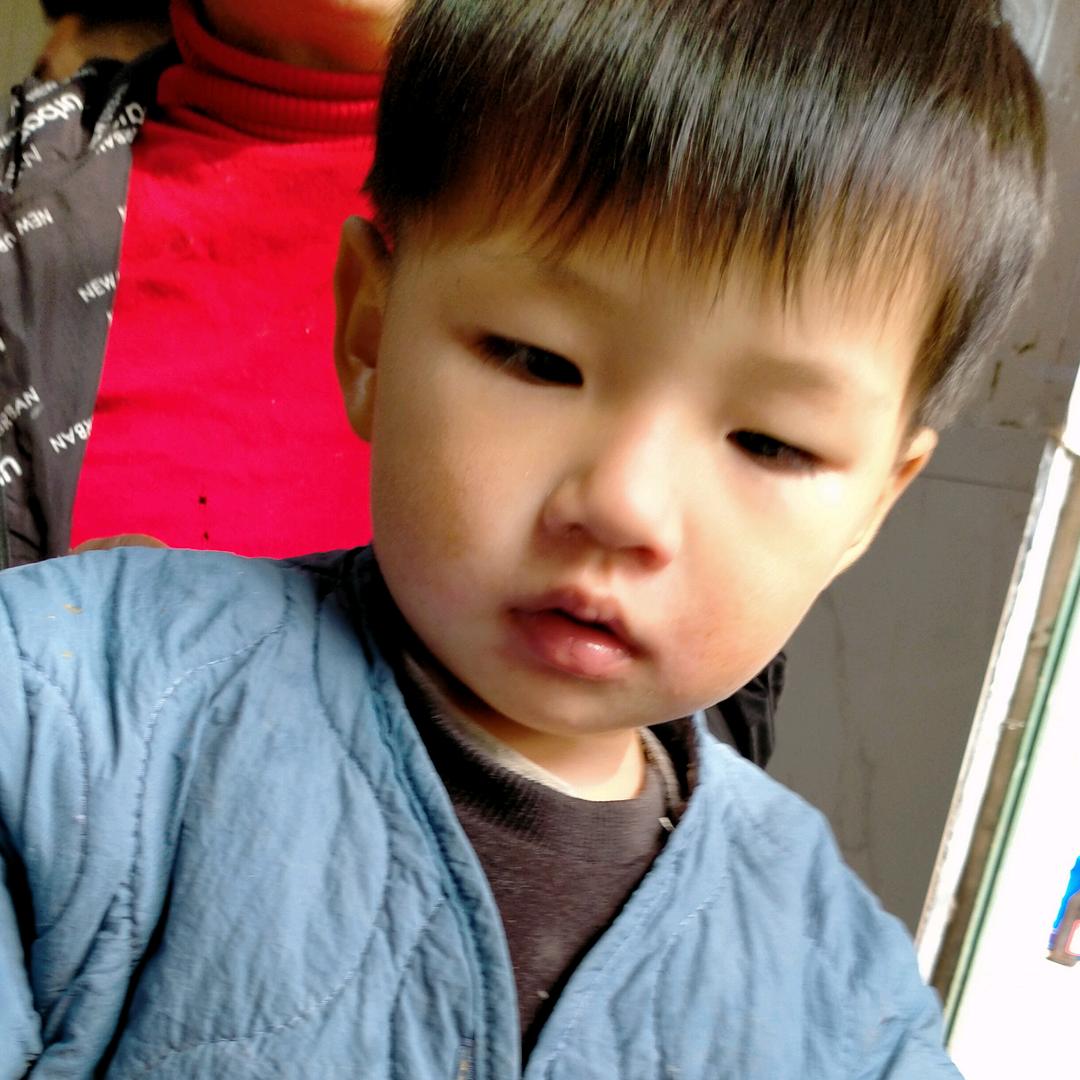 医路阳光