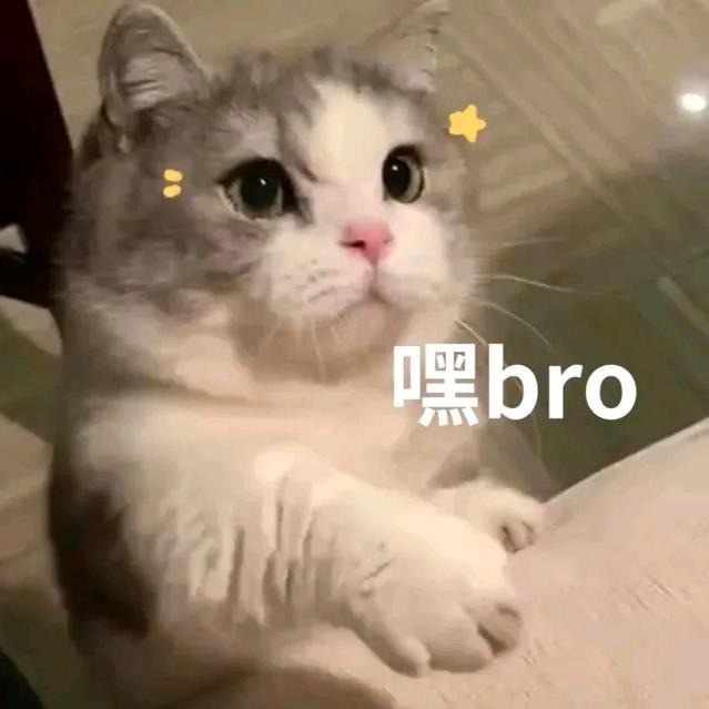 账不平何以平天下
