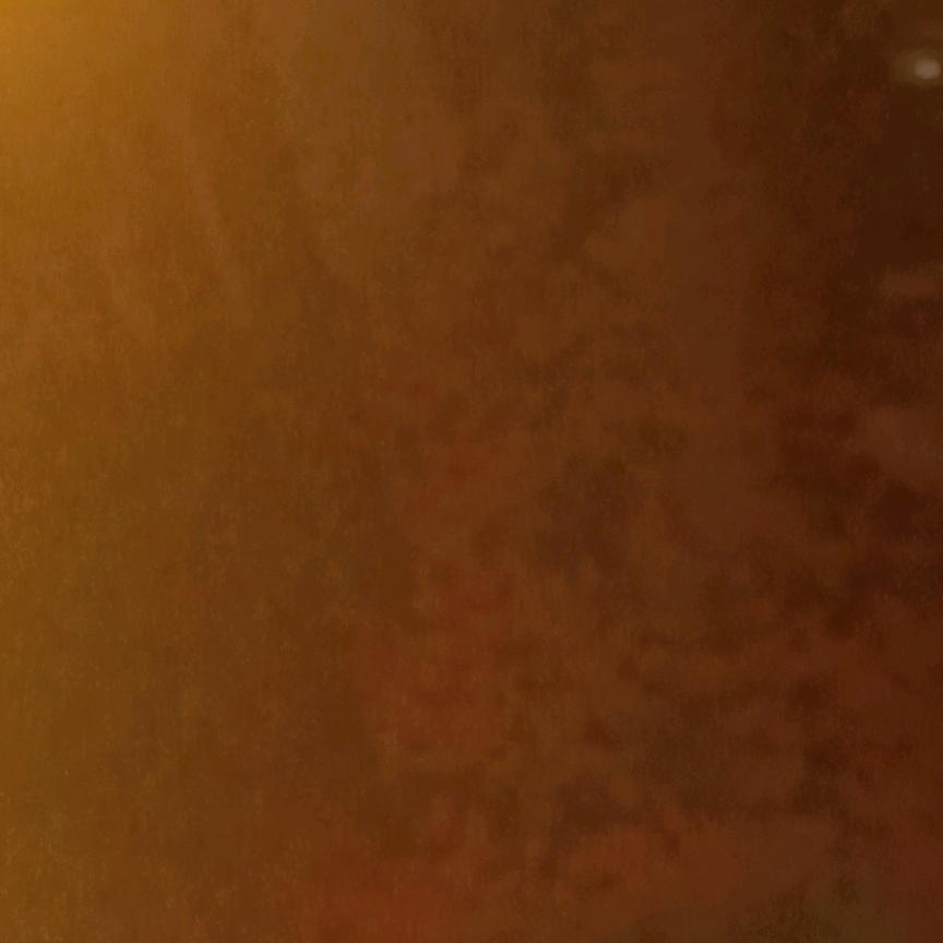 ，🌹🌹🌹🌹🌹🌹，小飞飞