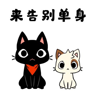 热心芳姐(淄博)