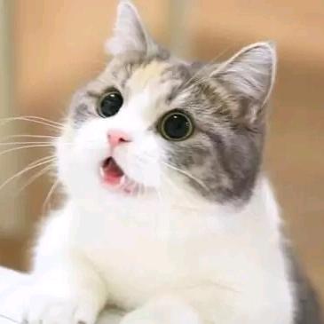 ☾⋆꯭᭄烛ึູ♡̶影ꦿོ࿐