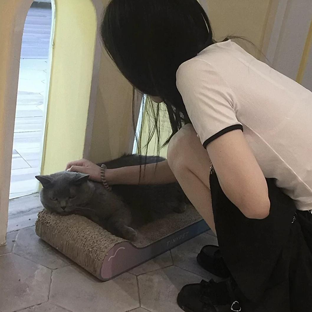 十二曰（等死版