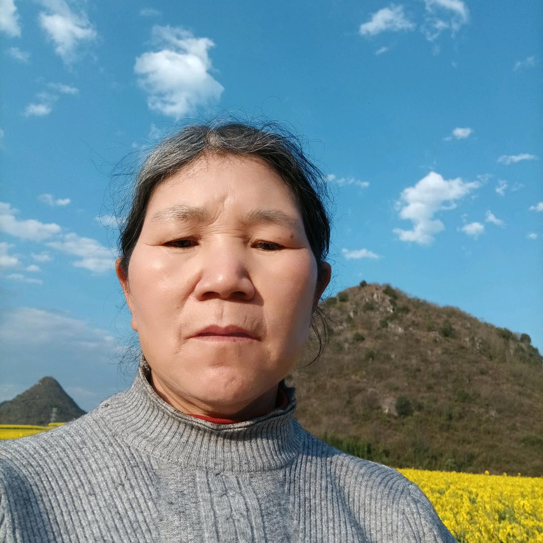 刘姐自媒体