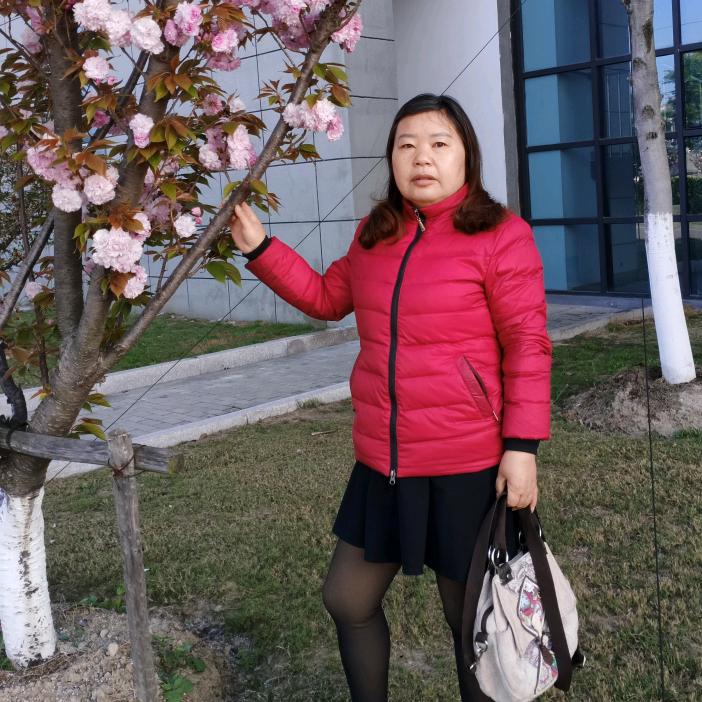 小马