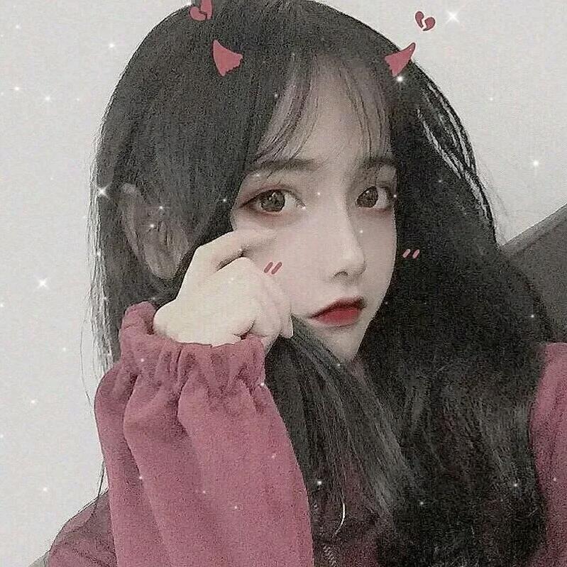 可爱小短猫