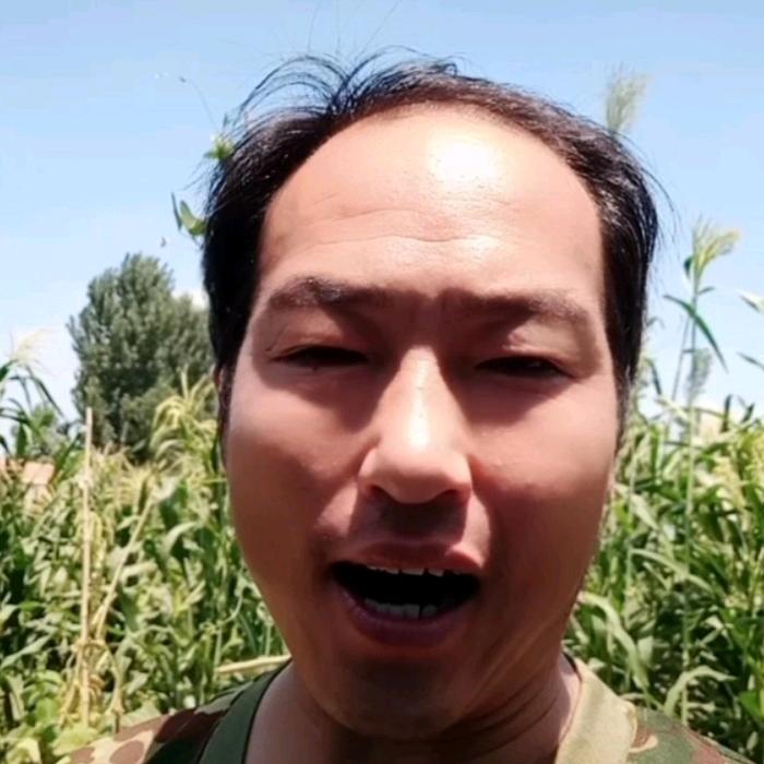 晚来哥，{停播中)