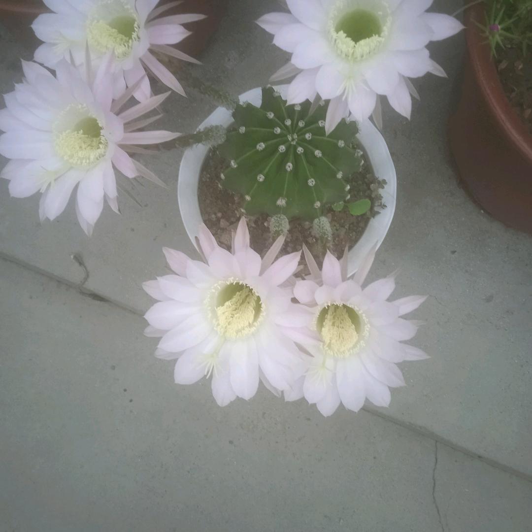 忍让