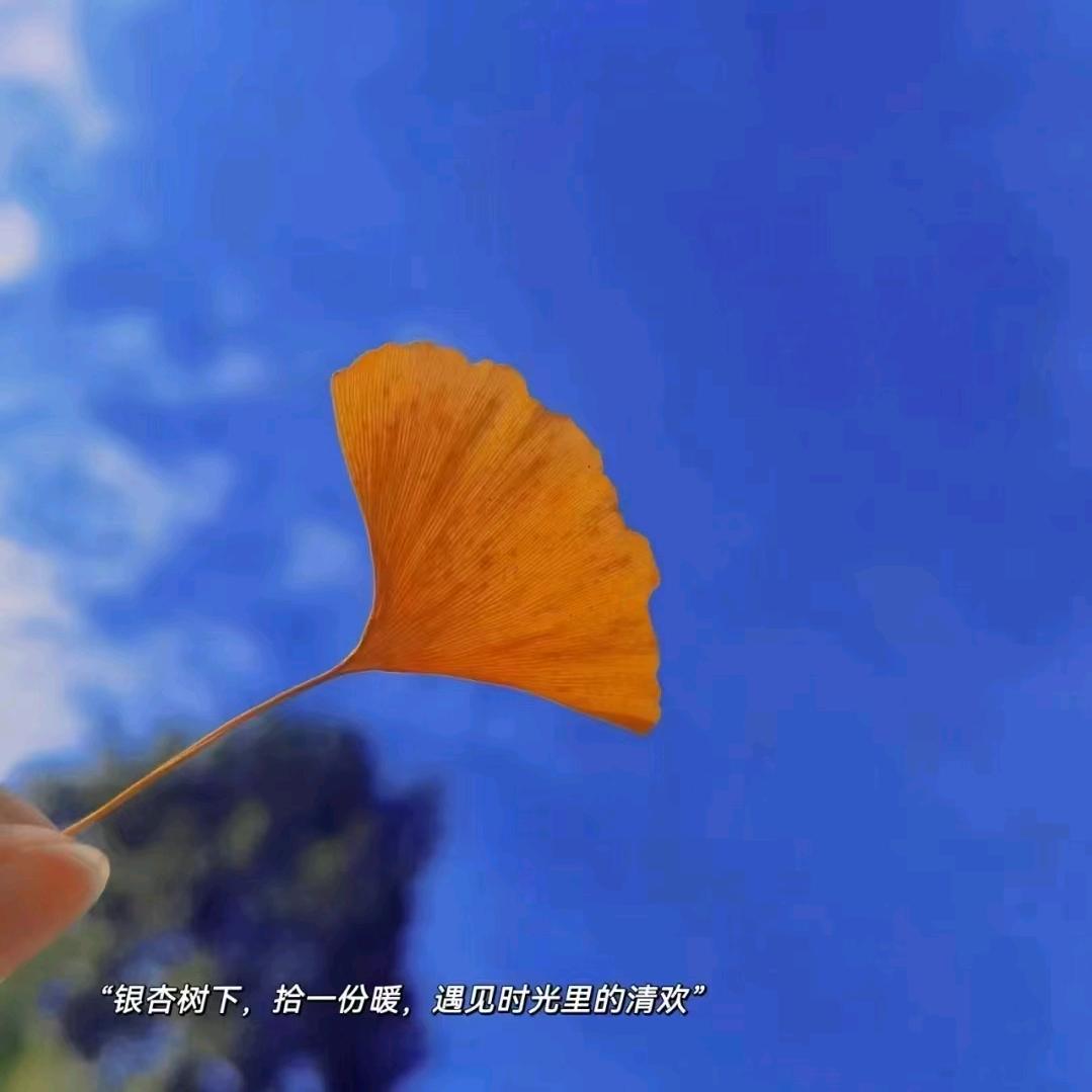 拂晓✊✊