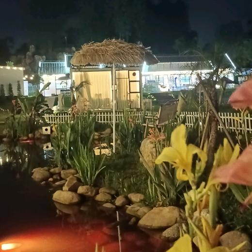 陆家二小姐夏威夷