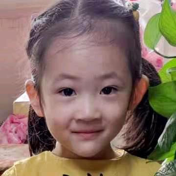 桦