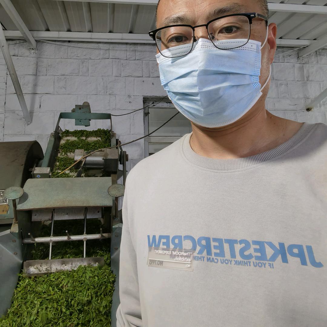 文化东路榆班茶庄🌿夹谷山苏班茶园基地